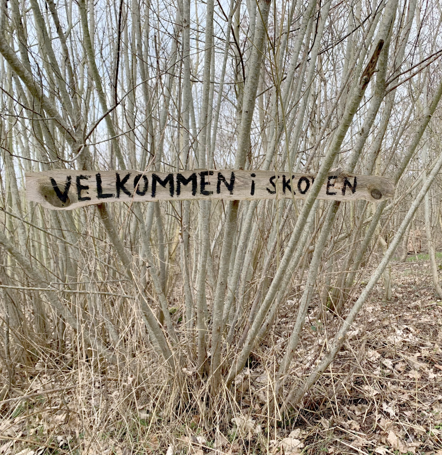 Et træ med et skilt, hvor der står "velkommen i SFO'en"