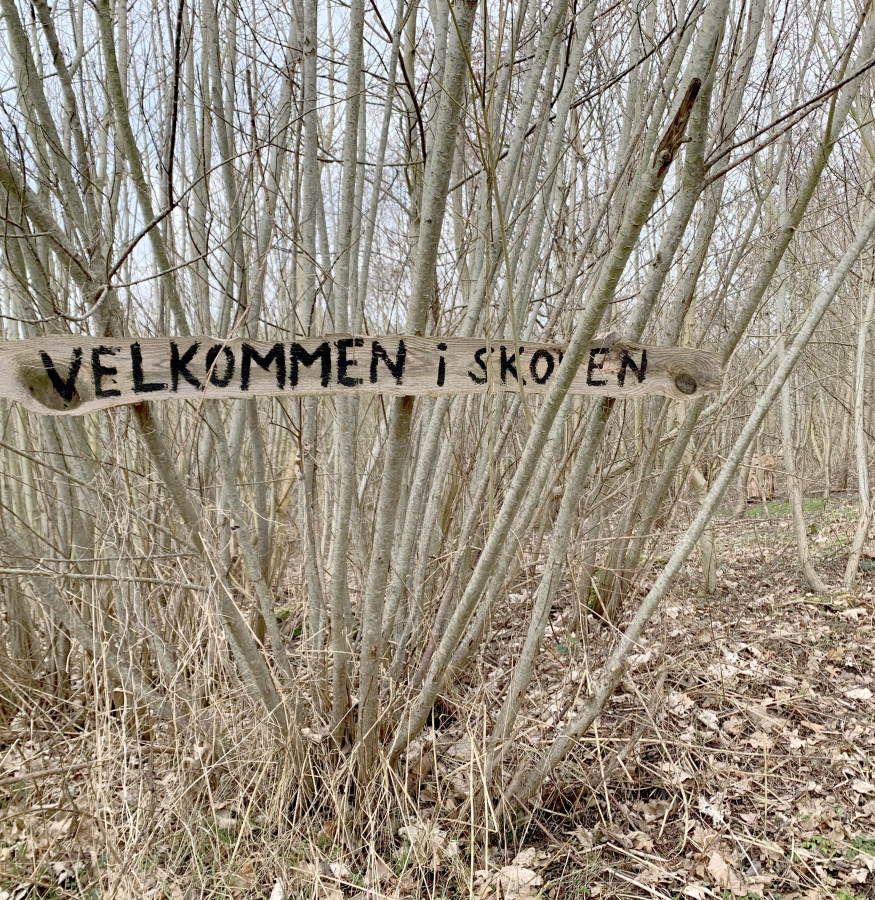 Et skilt i en skov, hvor der står "velkommen i SFO'en"